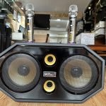 Loa Kéo Xách Tay MTMAX BT Speaker 16